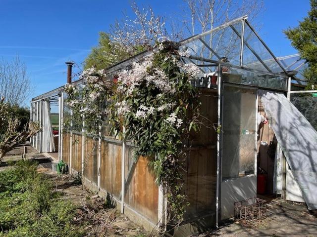 Vrijstaande Accommodatie Glamping De Kas Inn Hank Exterior photo